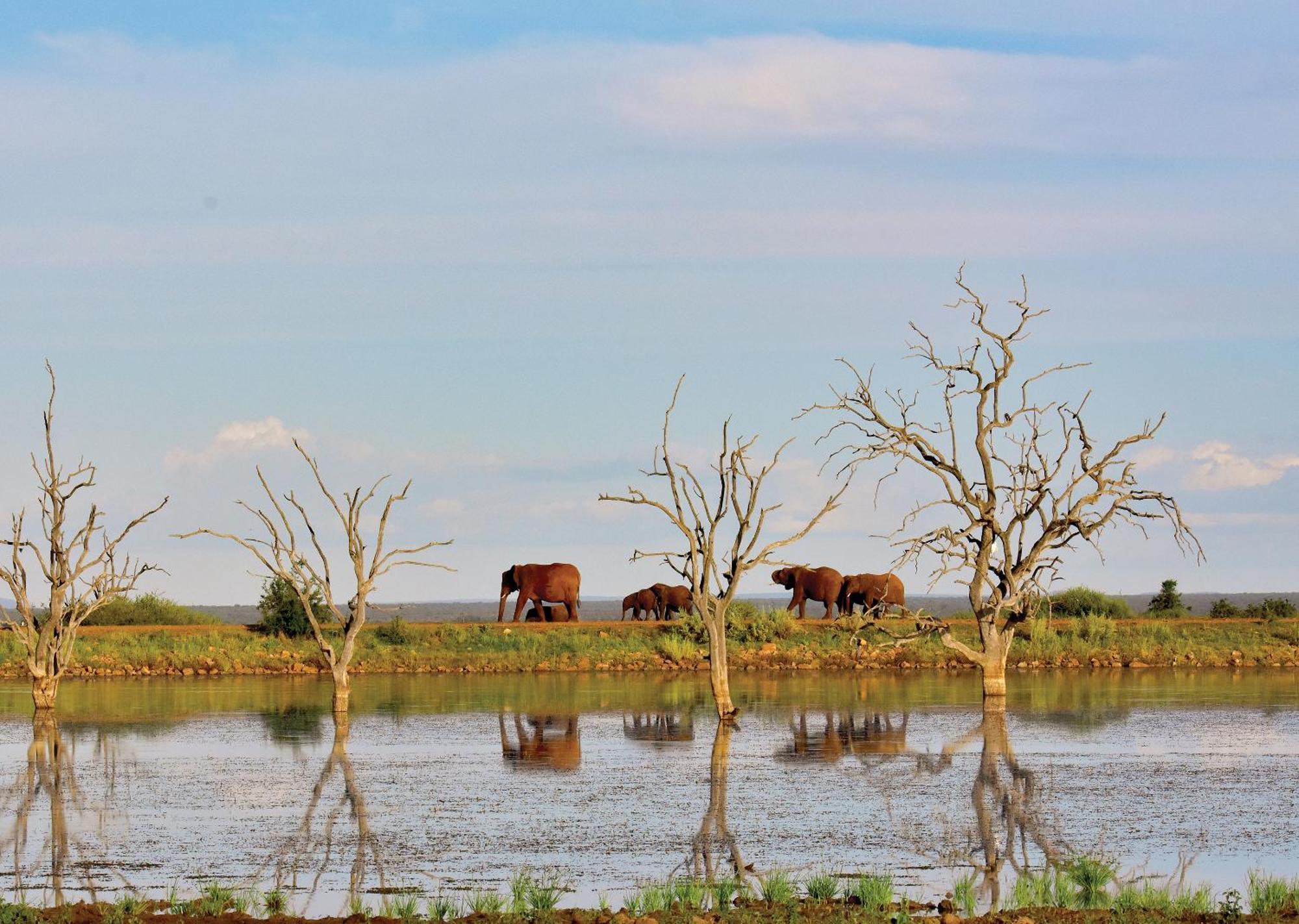 Madikwe River Lodge By Dream Resorts Reserva de Madikwe Exterior foto