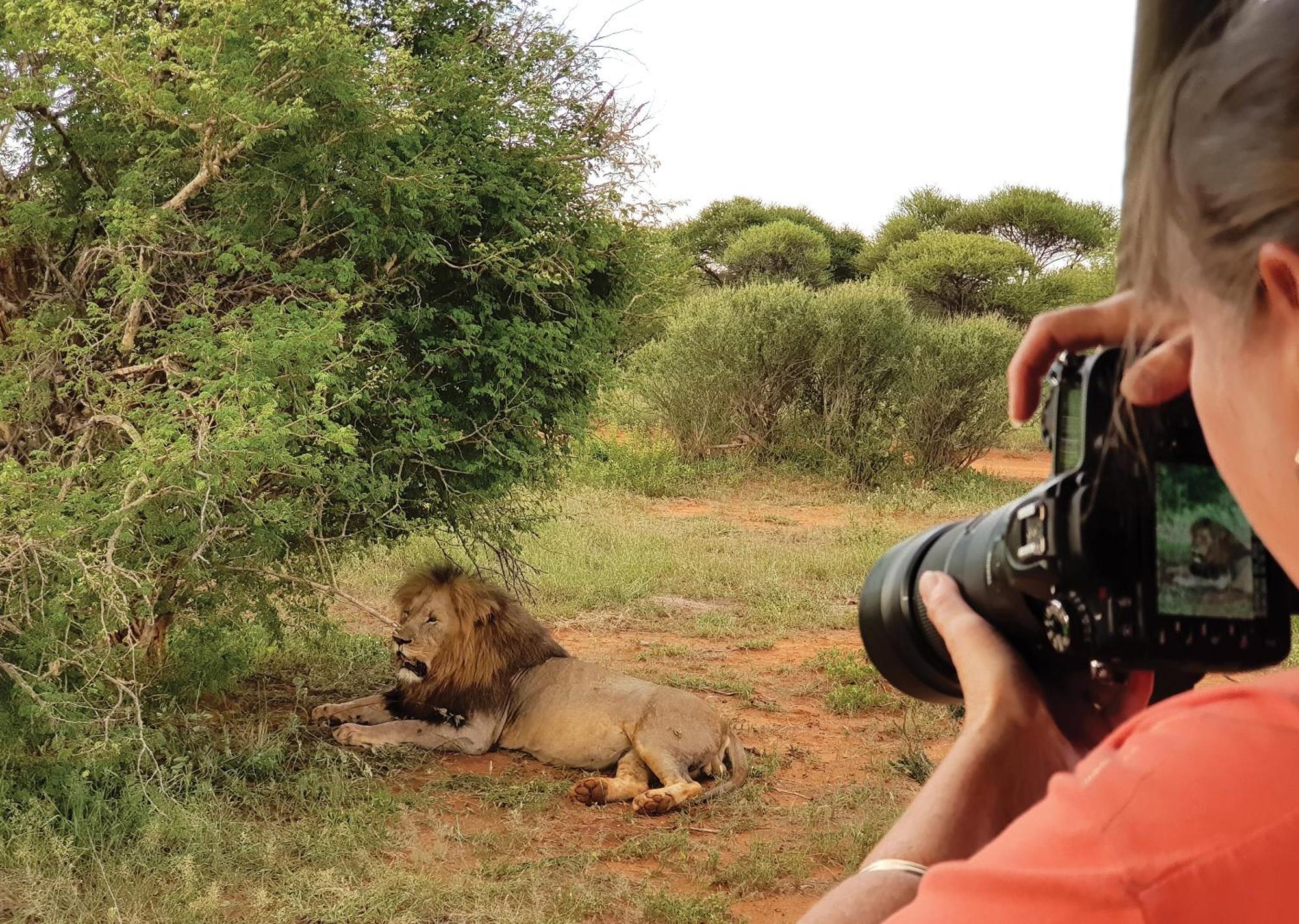 Madikwe River Lodge By Dream Resorts Reserva de Madikwe Exterior foto