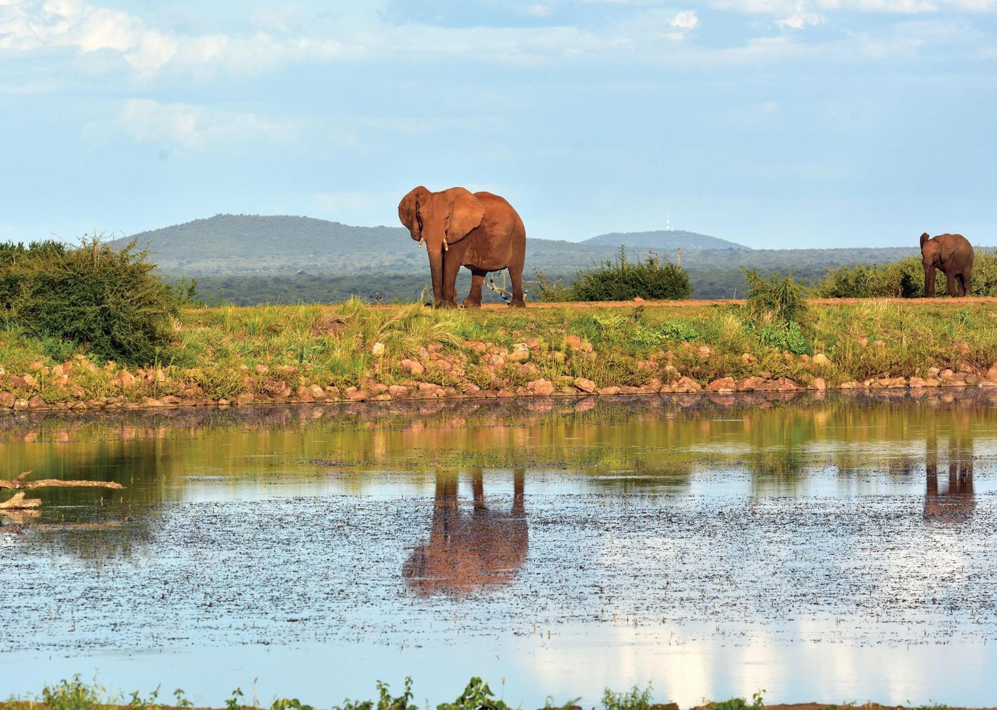 Madikwe River Lodge By Dream Resorts Reserva de Madikwe Exterior foto