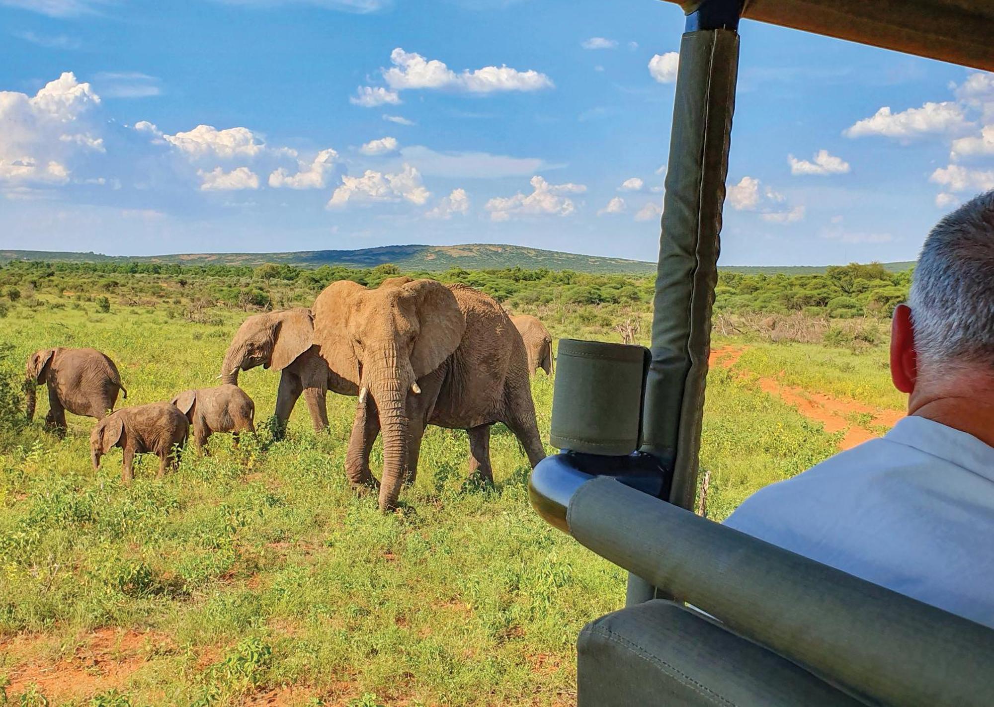 Madikwe River Lodge By Dream Resorts Reserva de Madikwe Exterior foto