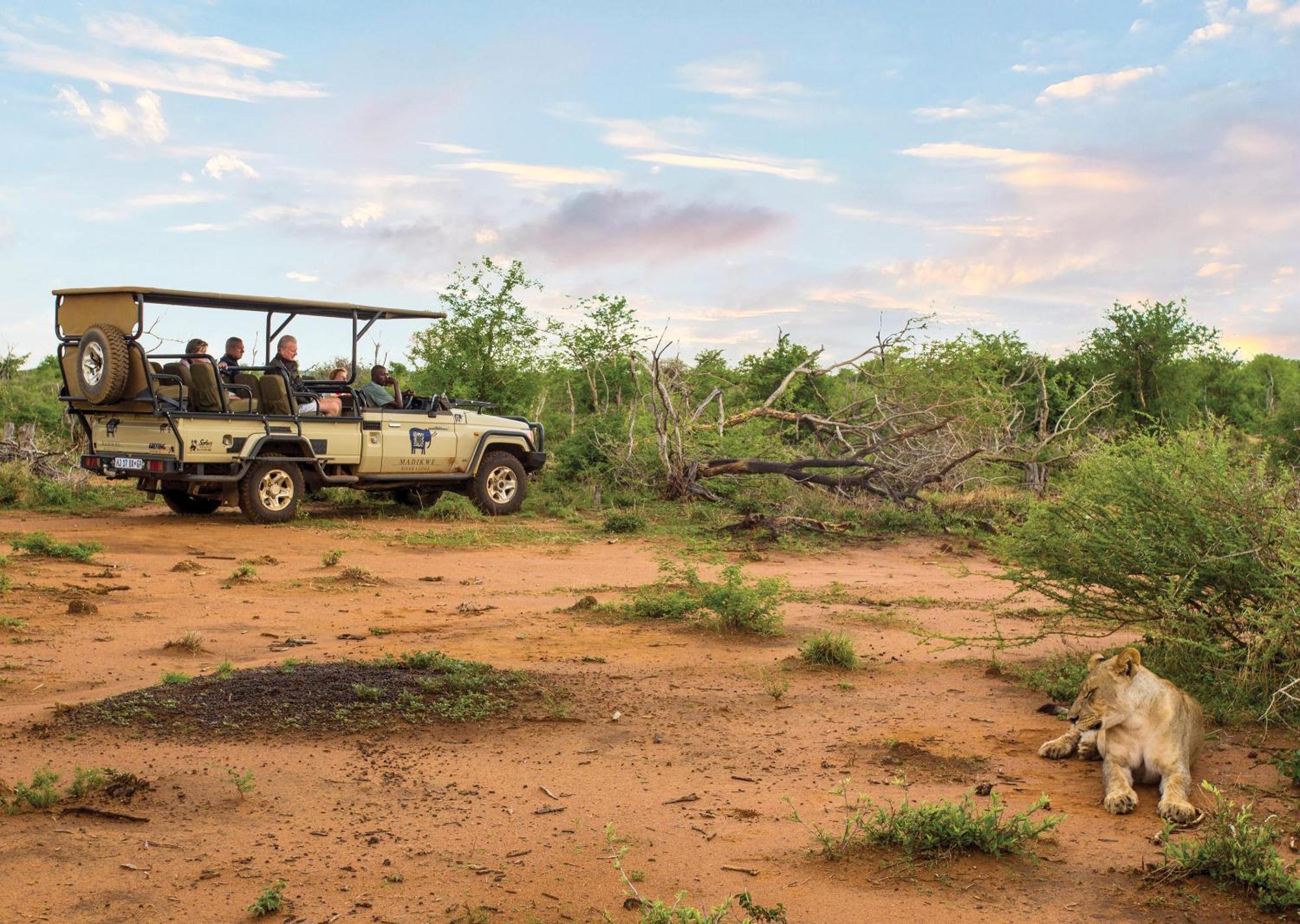 Madikwe River Lodge By Dream Resorts Reserva de Madikwe Exterior foto
