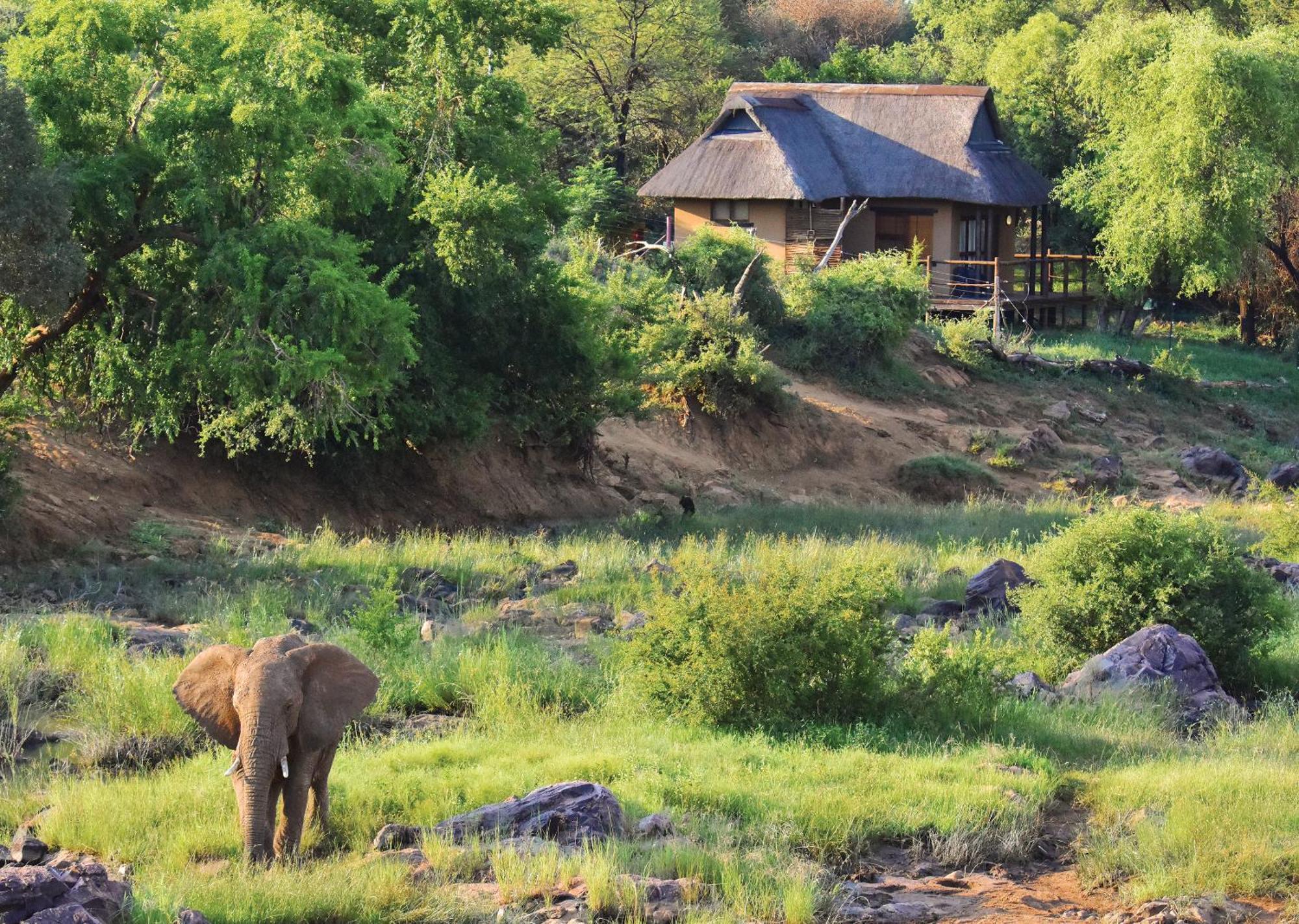 Madikwe River Lodge By Dream Resorts Reserva de Madikwe Habitación foto