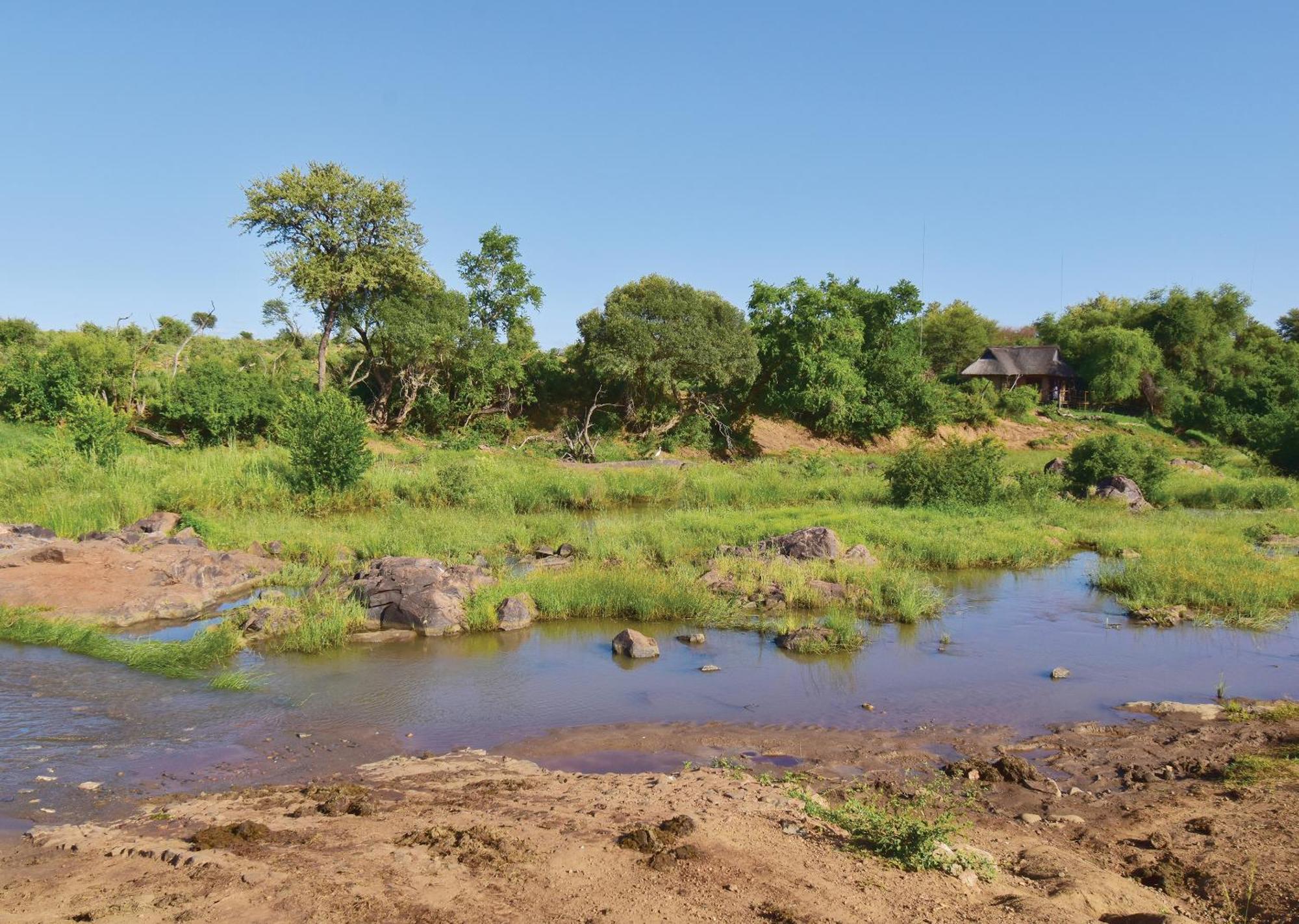 Madikwe River Lodge By Dream Resorts Reserva de Madikwe Habitación foto